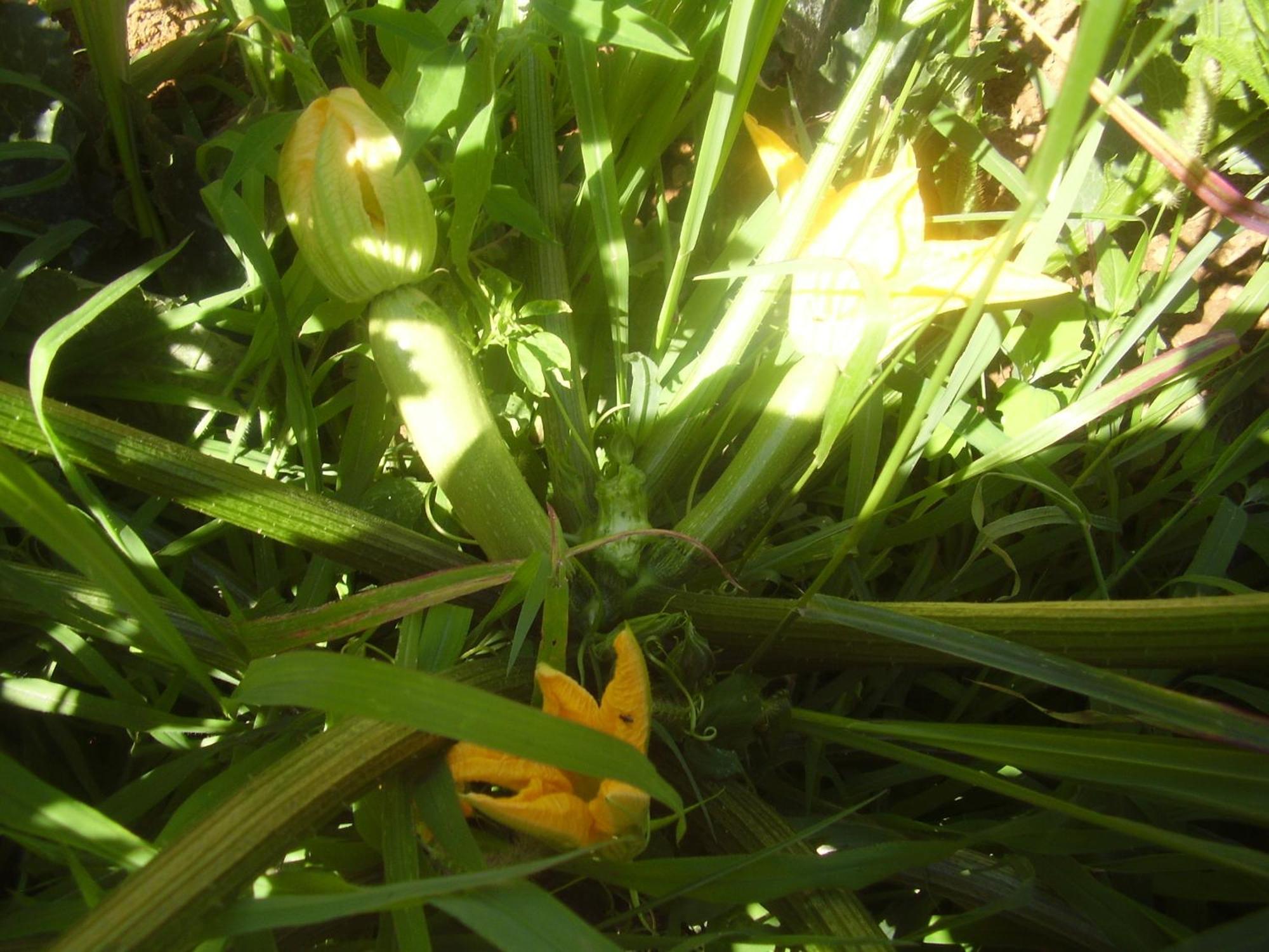 拉迪莫拉戴尔康达蒂诺公寓 蒙多维 外观 照片